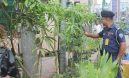 লক্ষ্মীপুরে চাকরির ফাঁকে এটিএসআই সাইফ উদ্দিনের গড়ে তোলা বাগান