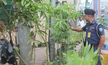 লক্ষ্মীপুরে চাকরির ফাঁকে এটিএসআই সাইফ উদ্দিনের গড়ে তোলা বাগান